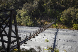 New Zealand 2025 (2 group) (42/84)